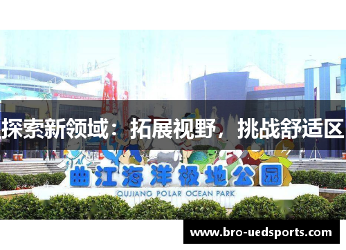 探索新领域：拓展视野，挑战舒适区